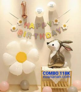 Combo trang trí sinh nhật kiểu HQ [118K]