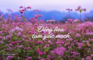 HÀ GIANG - ĐỒNG VĂN 3N2Đ