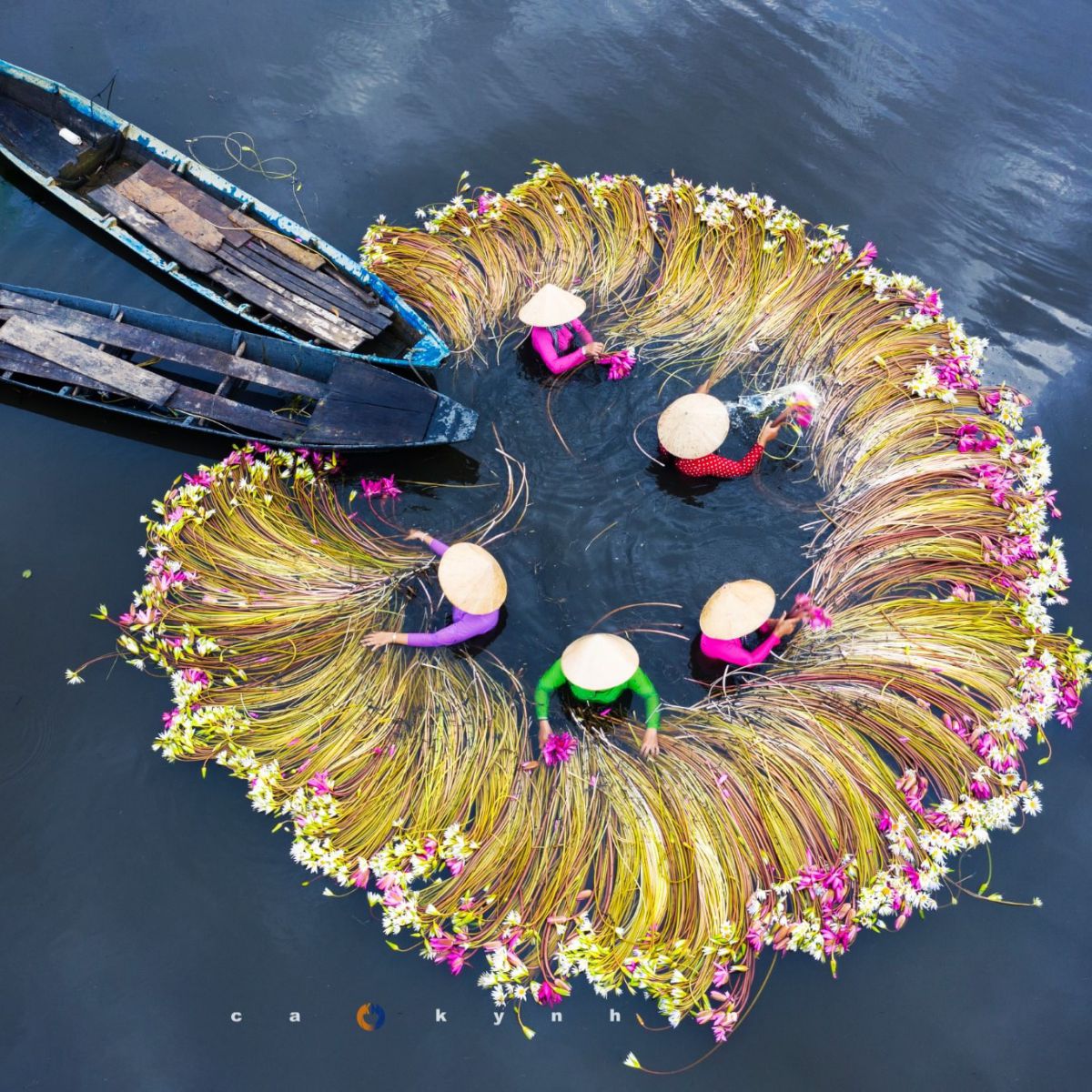 TIỀN GIANG - CẦN THƠ - CÀ MAU 4N3Đ