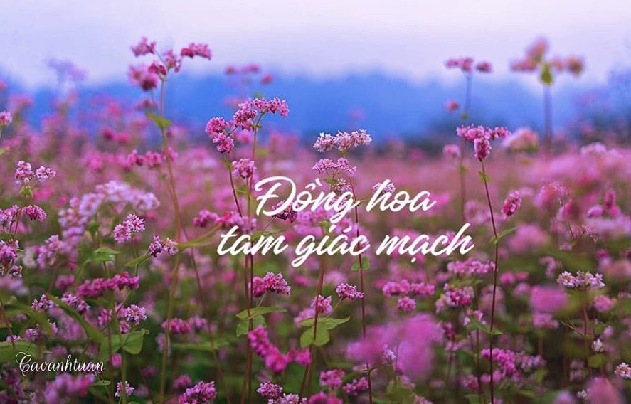 HÀ GIANG - ĐỒNG VĂN 3N2Đ